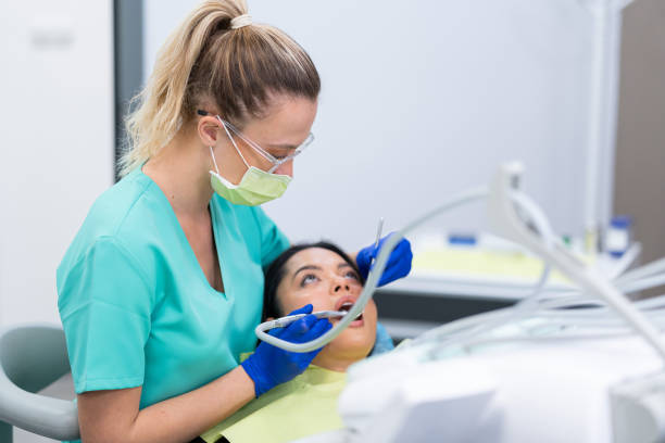 Best Emergency X-Rays and Diagnostics in Vandalia, IL